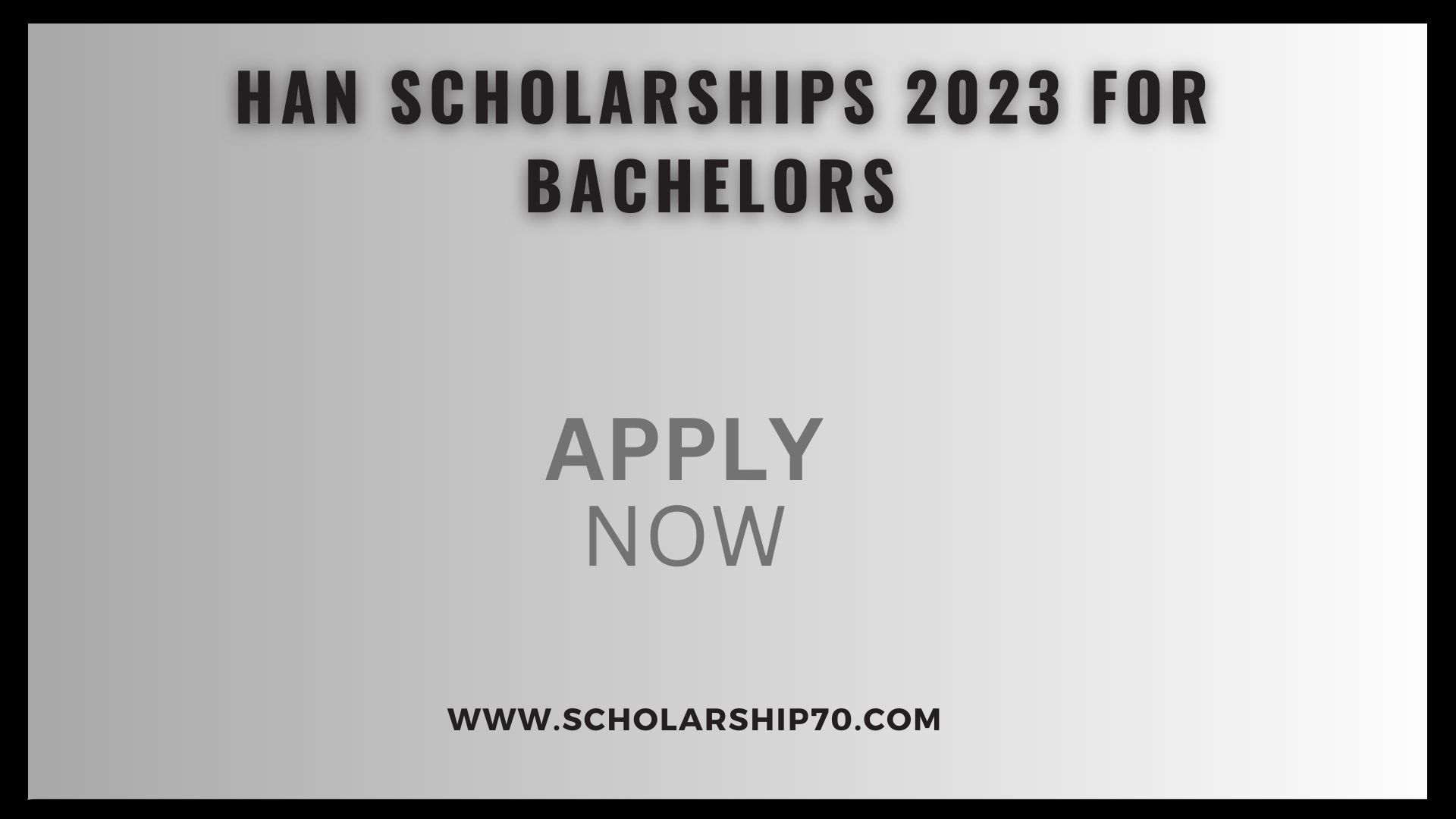 HAN Scholarships 2023 for Bachelor