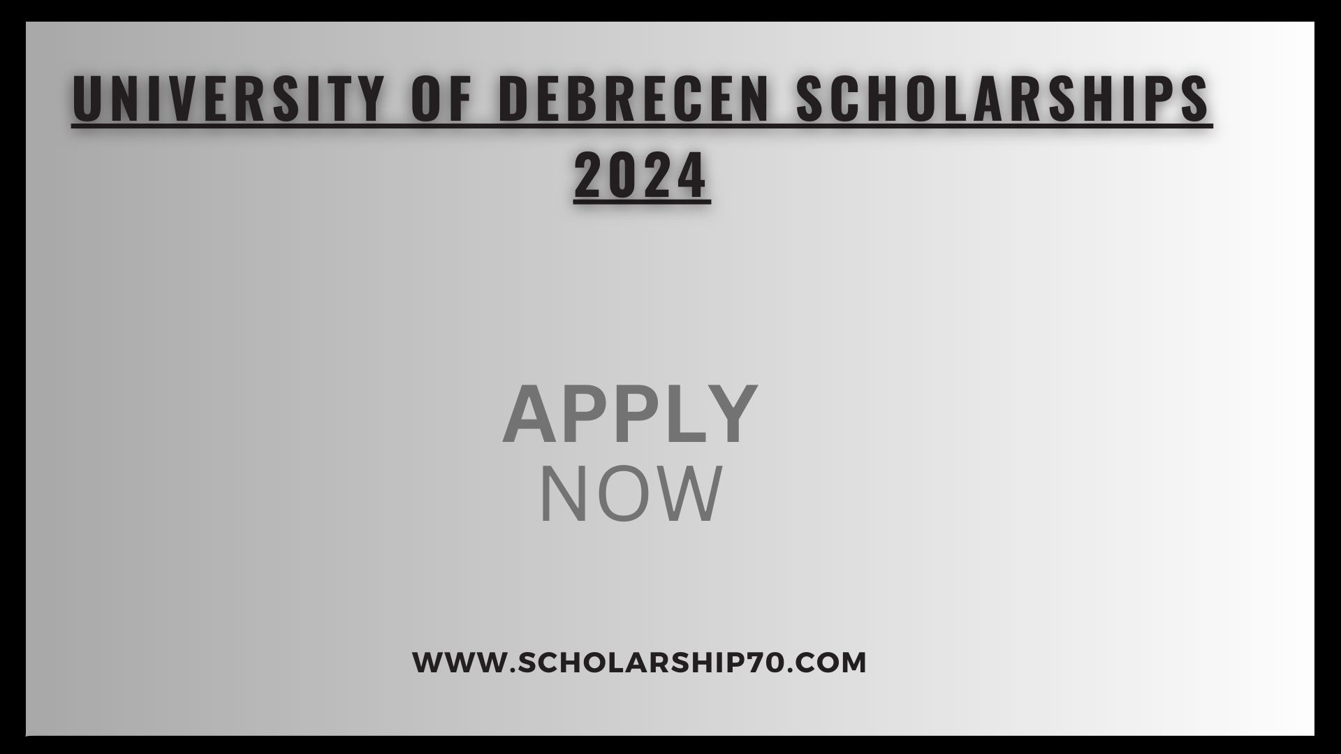 University of Debrecen Scholarships 2024