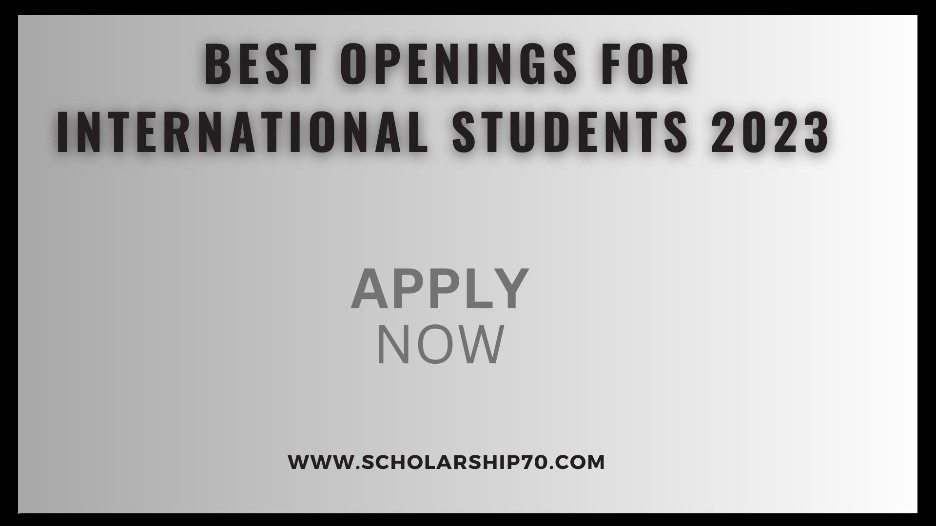 Best Openings for International Students 2023